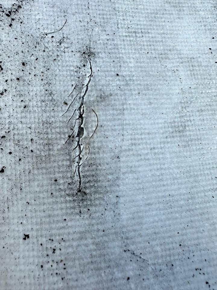 Roofing Replacement for Best Buy Roofing in Port Orange, FL