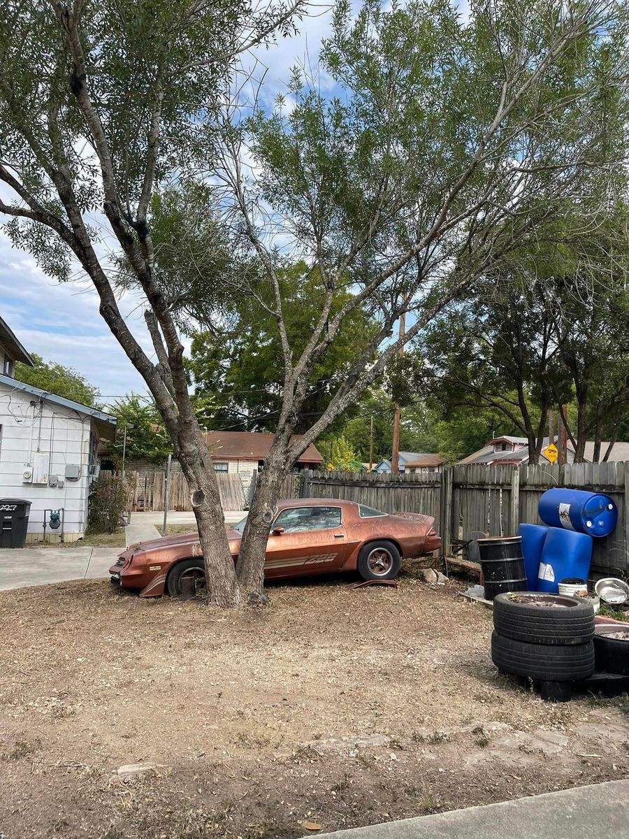 Seasoned firewood for Neighborhood Lawn Care and Tree Service  in San Antonio, TX