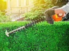 Shrub Trimming for Green Shoes Lawn & Landscape in Cincinnati, OH