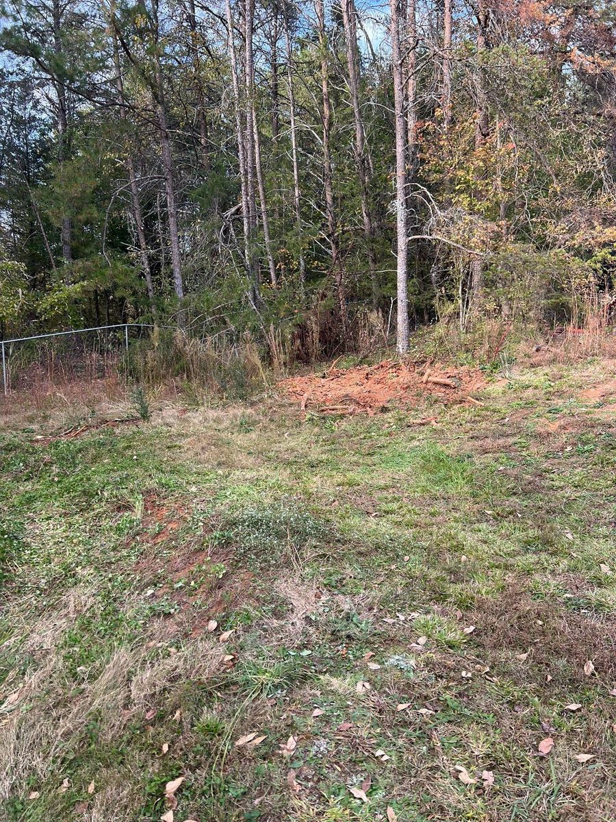 Fall Clean Up for Brooks Tree Service, LLC in Casar, NC