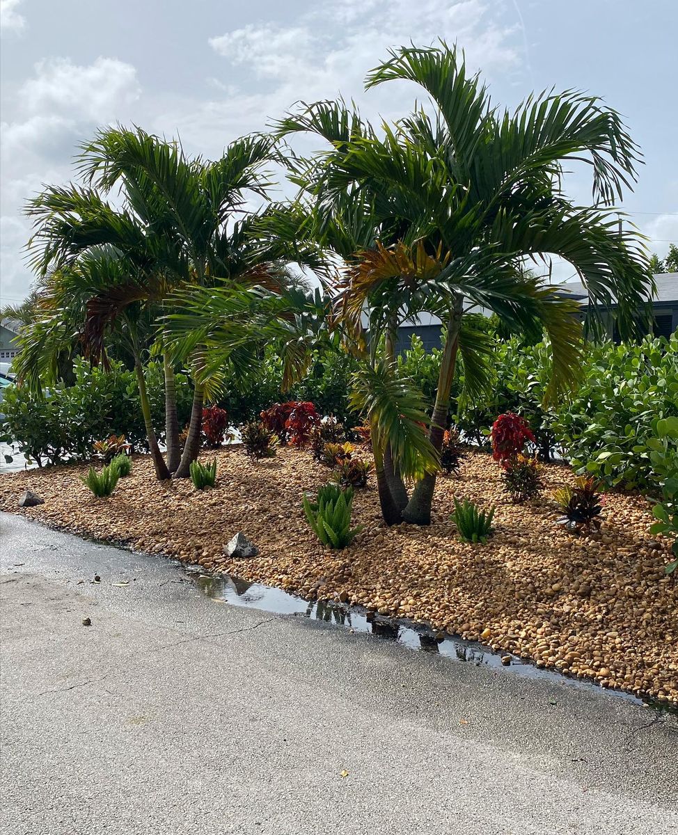 Tree Trimming for Green Touch Property Maintenance in Broward County, FL