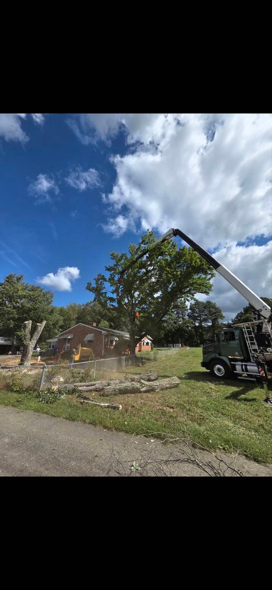 Tree Removal for Alexander's Tree Service  in Newburg,  MD