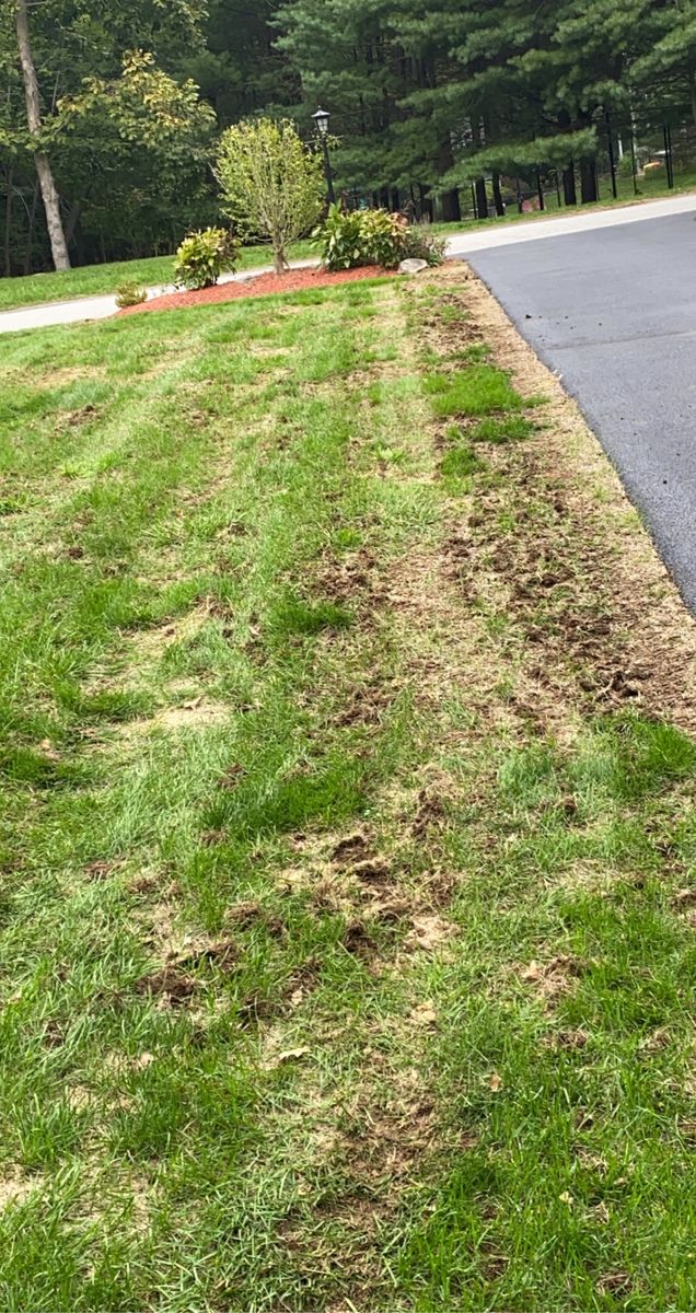 Lawn Aeration for Quiet Acres Landscaping in Dutchess County, NY