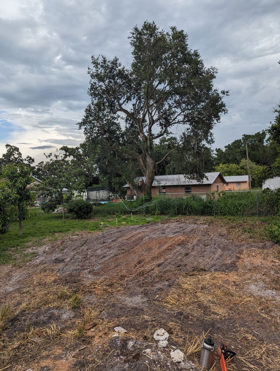 Land Clearing for Regal Tree Service and Stump Grinding in Wauchula, FL