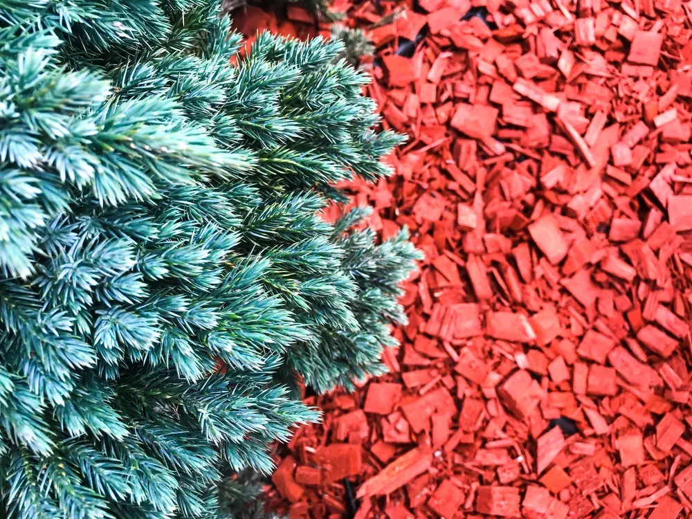 Landscape Design and Installation for Chief Lawn Care in Lee's Summit, MO