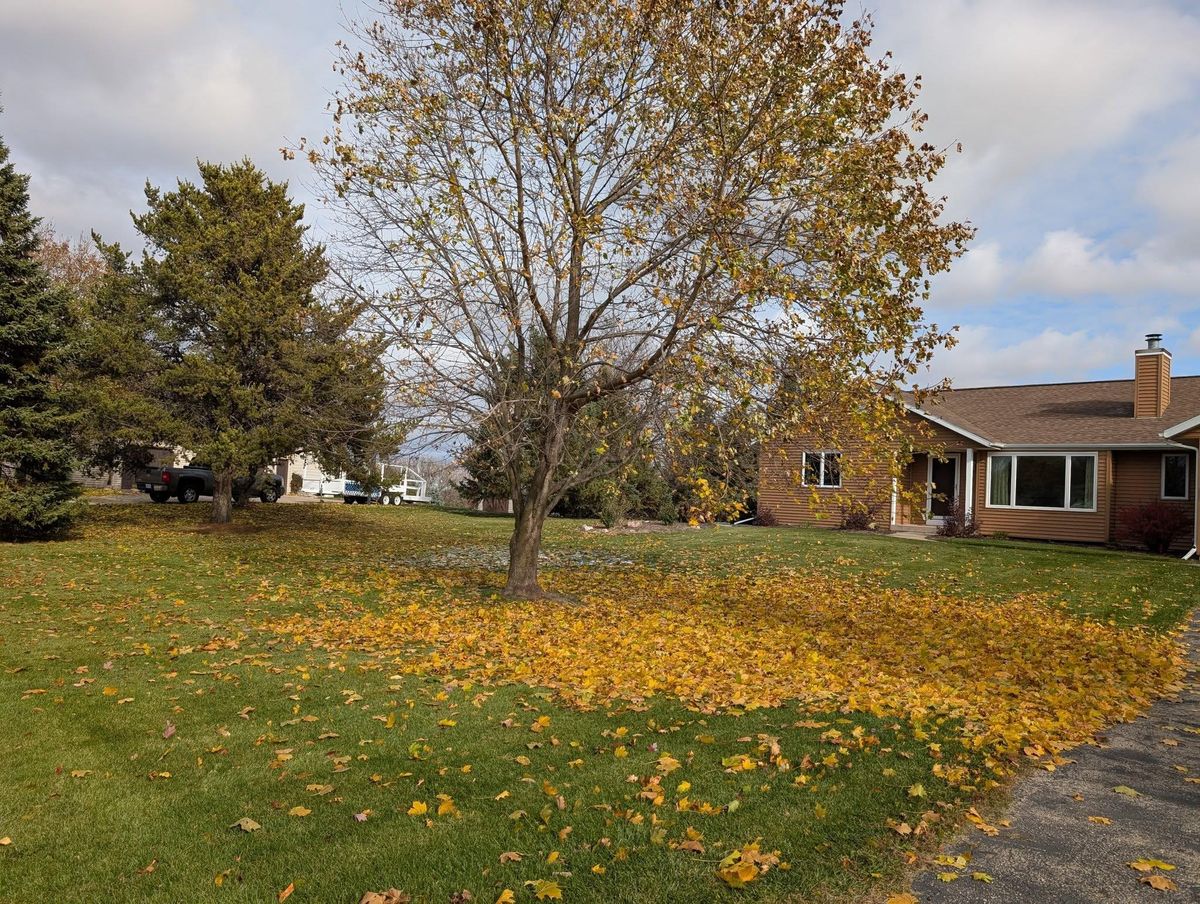 Other Lawn Services for TCB Lawn Care & Snow Removal in Sun Prairie, WI