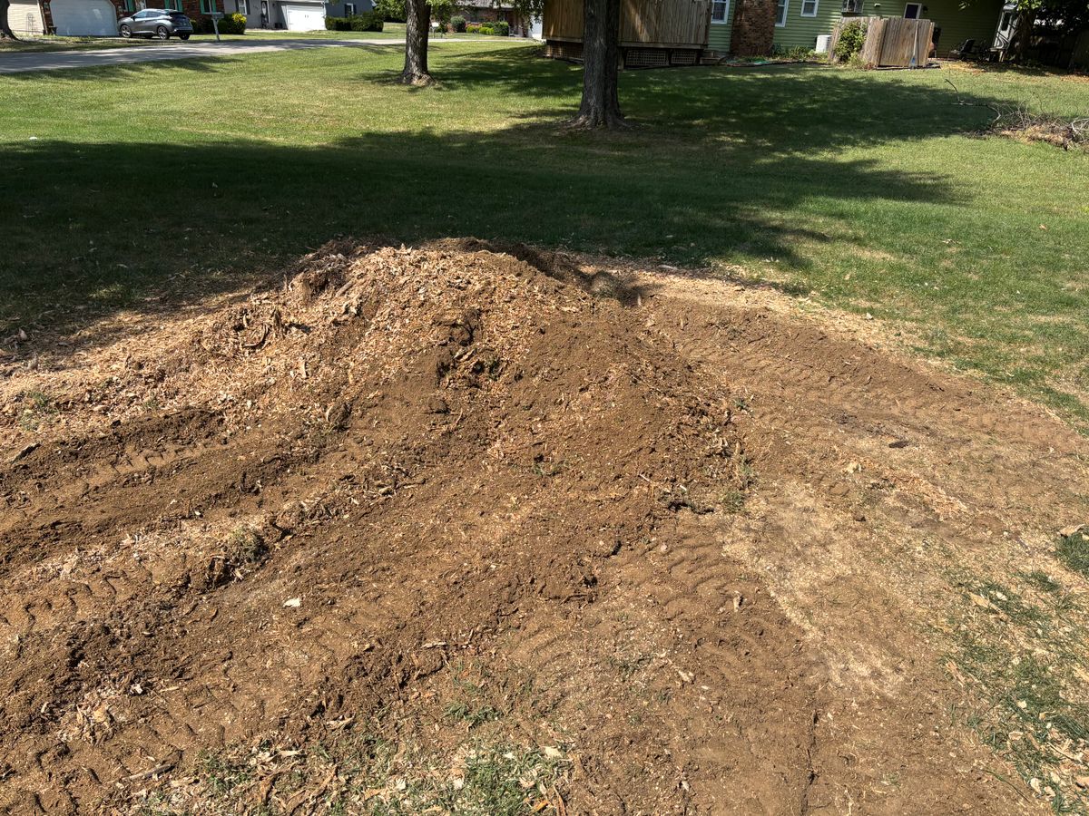 Stump Removal for Conrad's Stump Removal in Columbus, IN