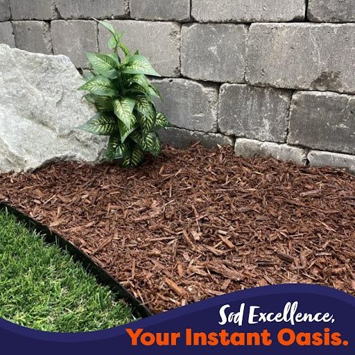 Landscape Design for Genluma Services Lawn Care in Vancouver, WA