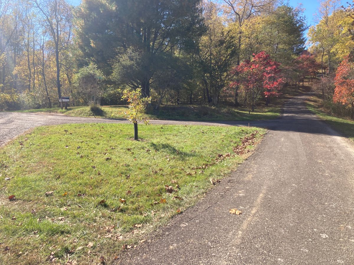 Landscaping for 9999 Building and Renovation LLC in Warrenton, VA