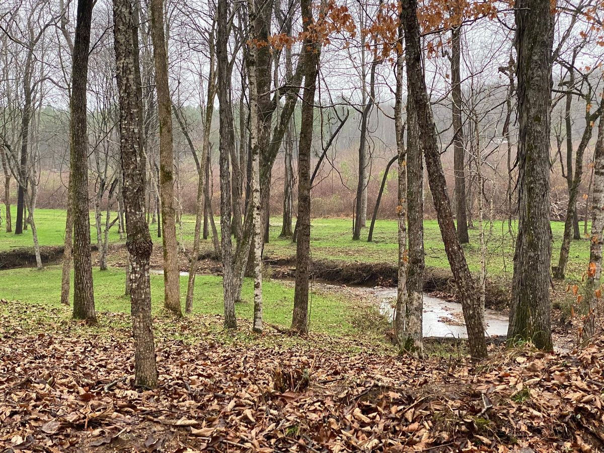 Pond Construction for Mud Creek Vegetation Management in Russellville, AL