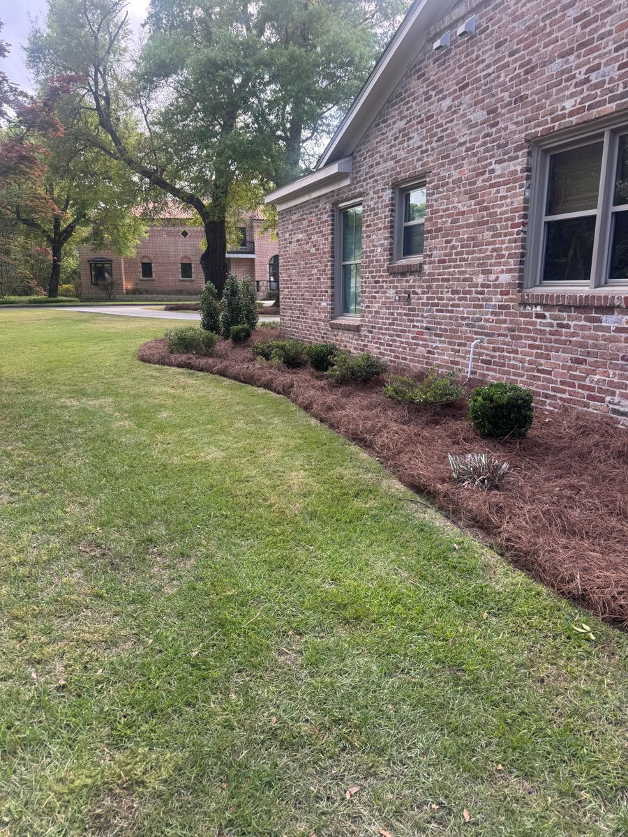 Lawn Care and Maintenance for Johnson Lawn Care and Maintenance in Mobile, AL