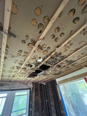 Mold Remediation for CertaClean Restoration in Yonkers, NY