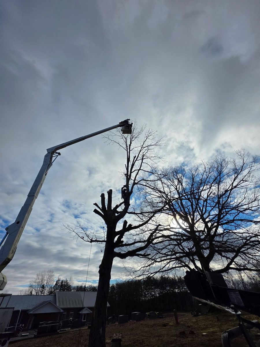 Land Clearing & Demolition for Bobcat Bob in Clermont, GA