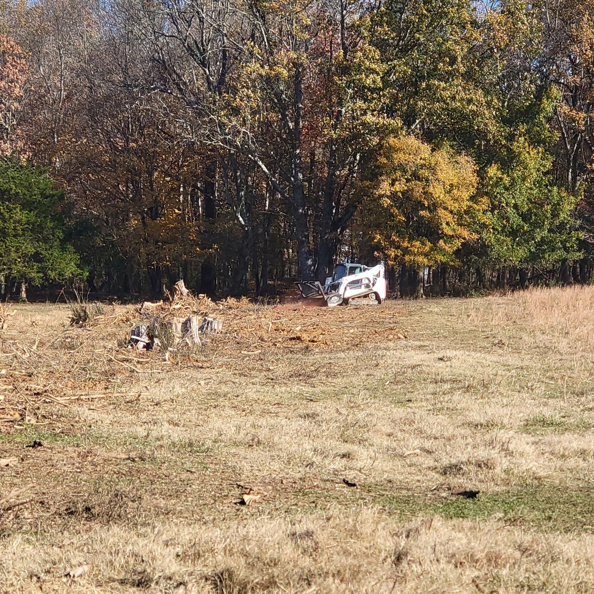 Excavation and repair services for Z's Land Management & Forestry Mulching in Smithville, TN