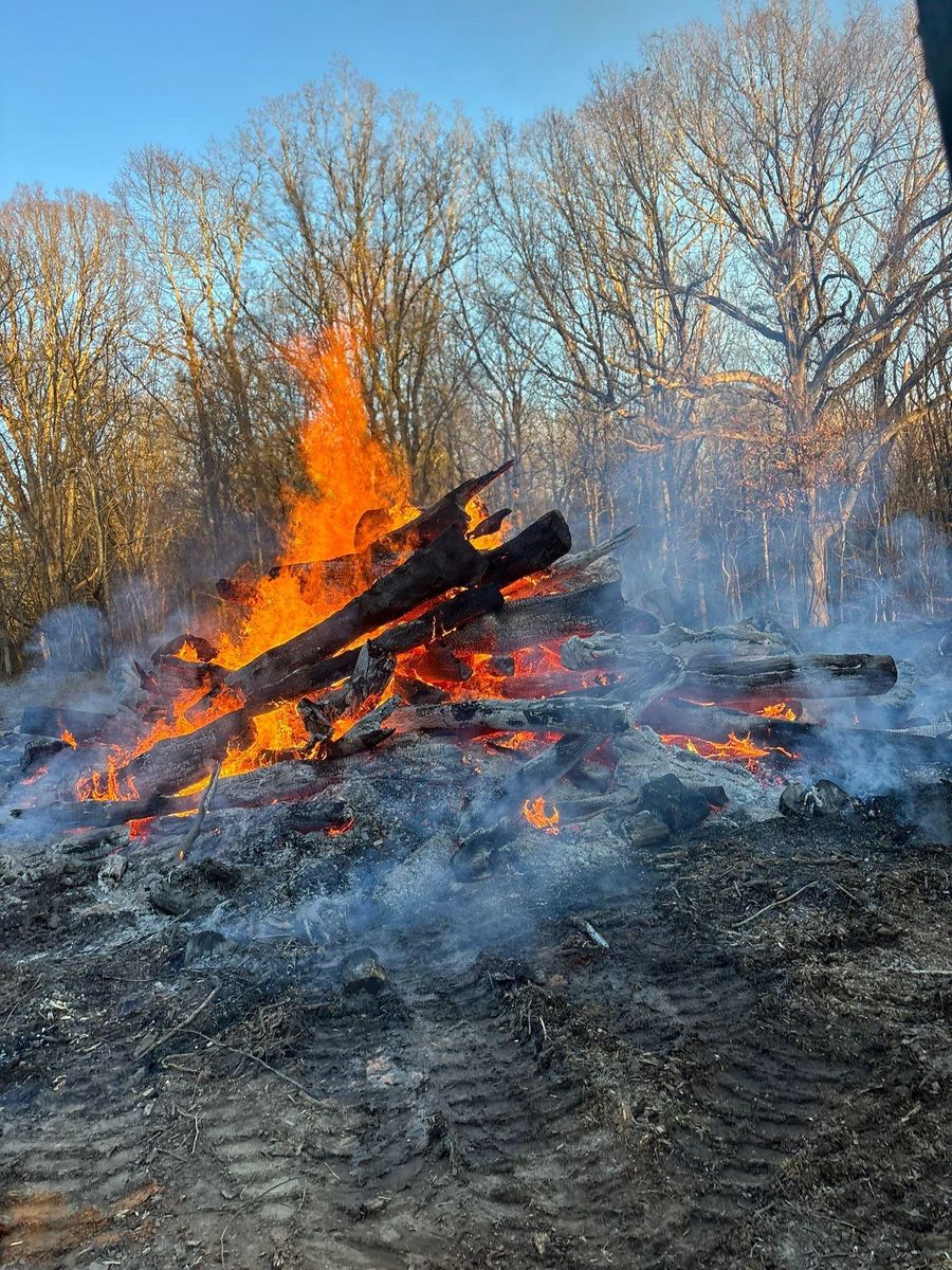Land Clearing for TD Dirtworks in Tracy City, TN