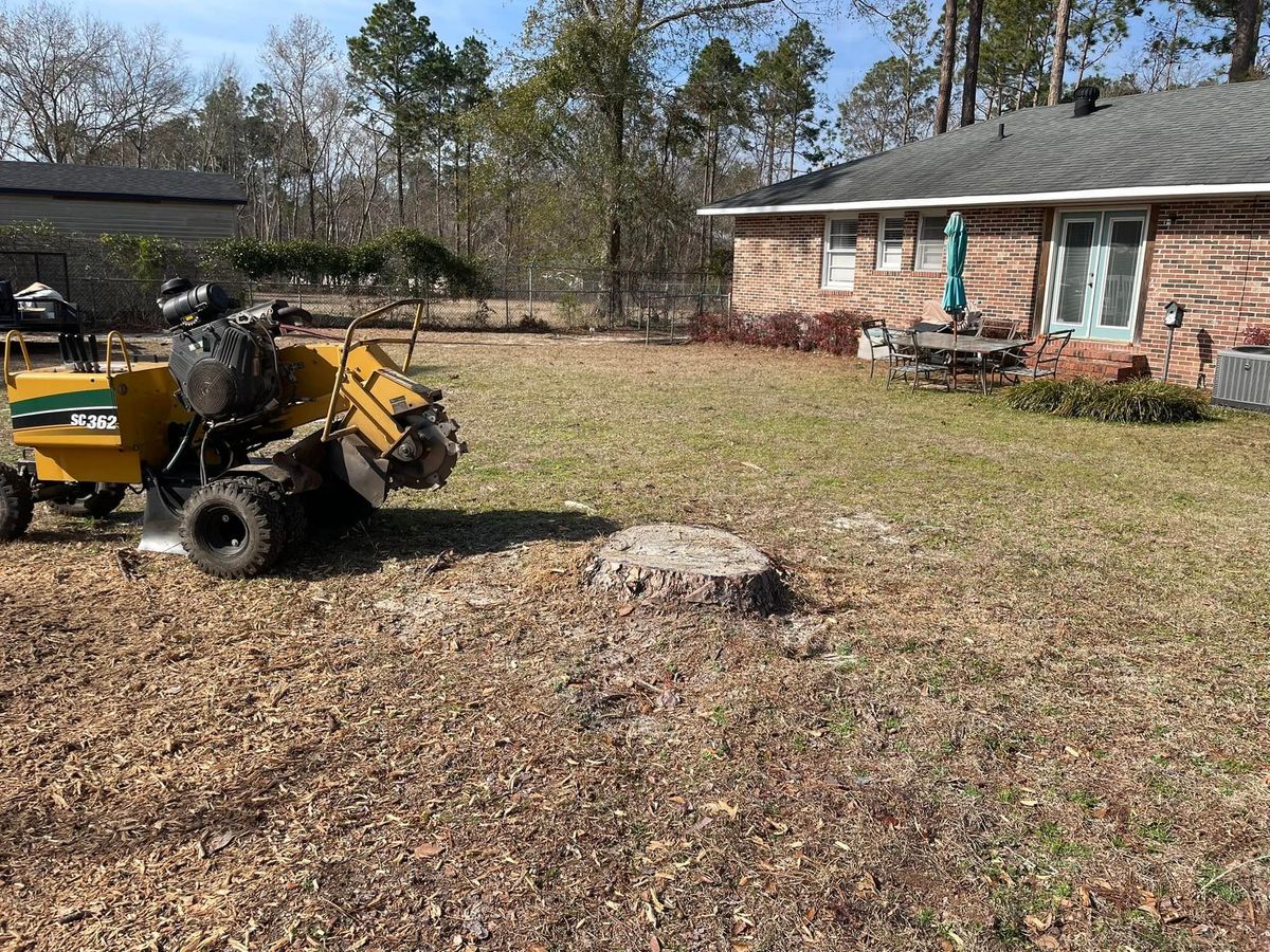 Stump Grinding for MJB’s Stump Grinding LLC in Tennille, GA