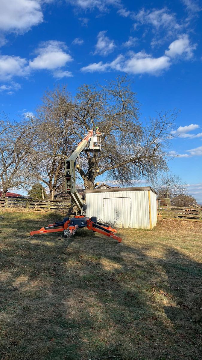 Tree Trimming & Removal for Deer Run Property Services in Rocky Gap, VA