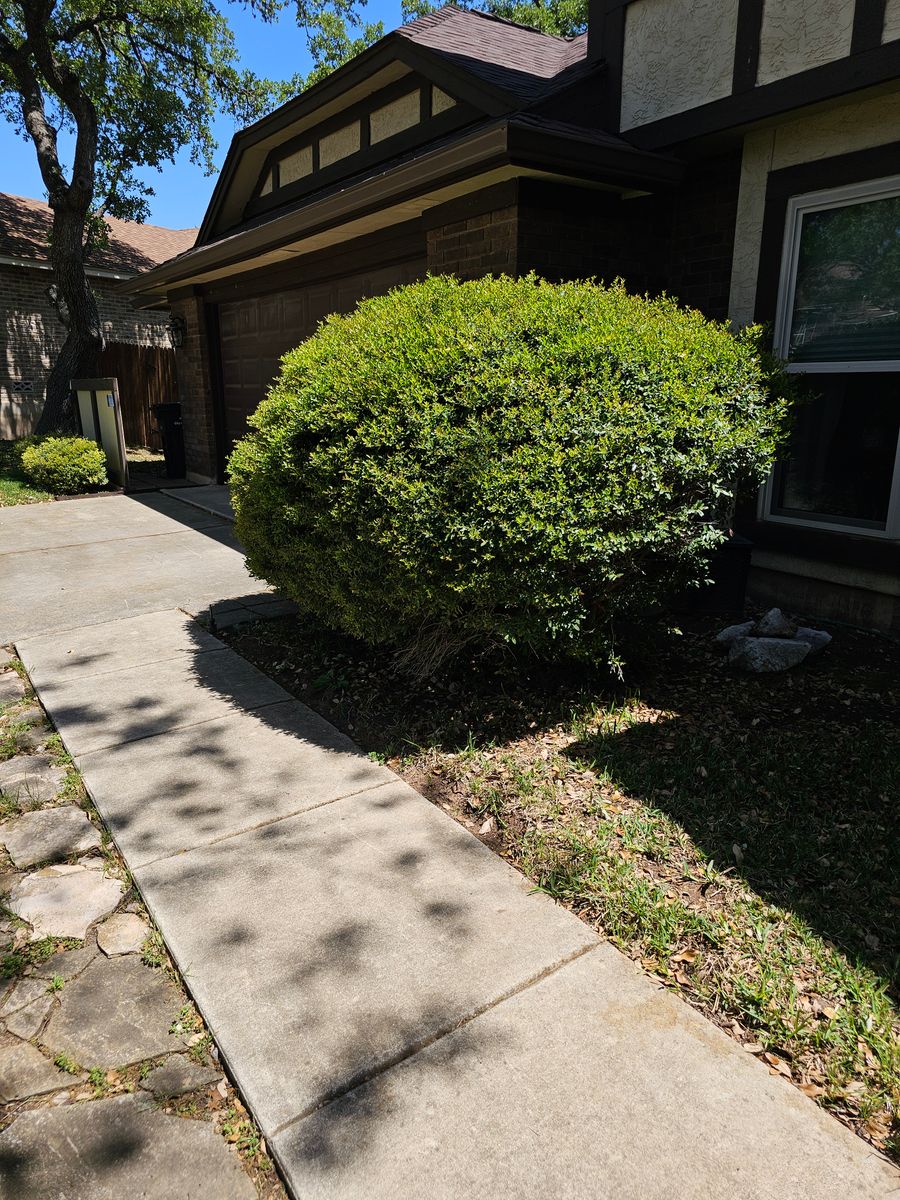 Shrub Trimming for Miller Mowing and Maintenance in San Antonio, TX