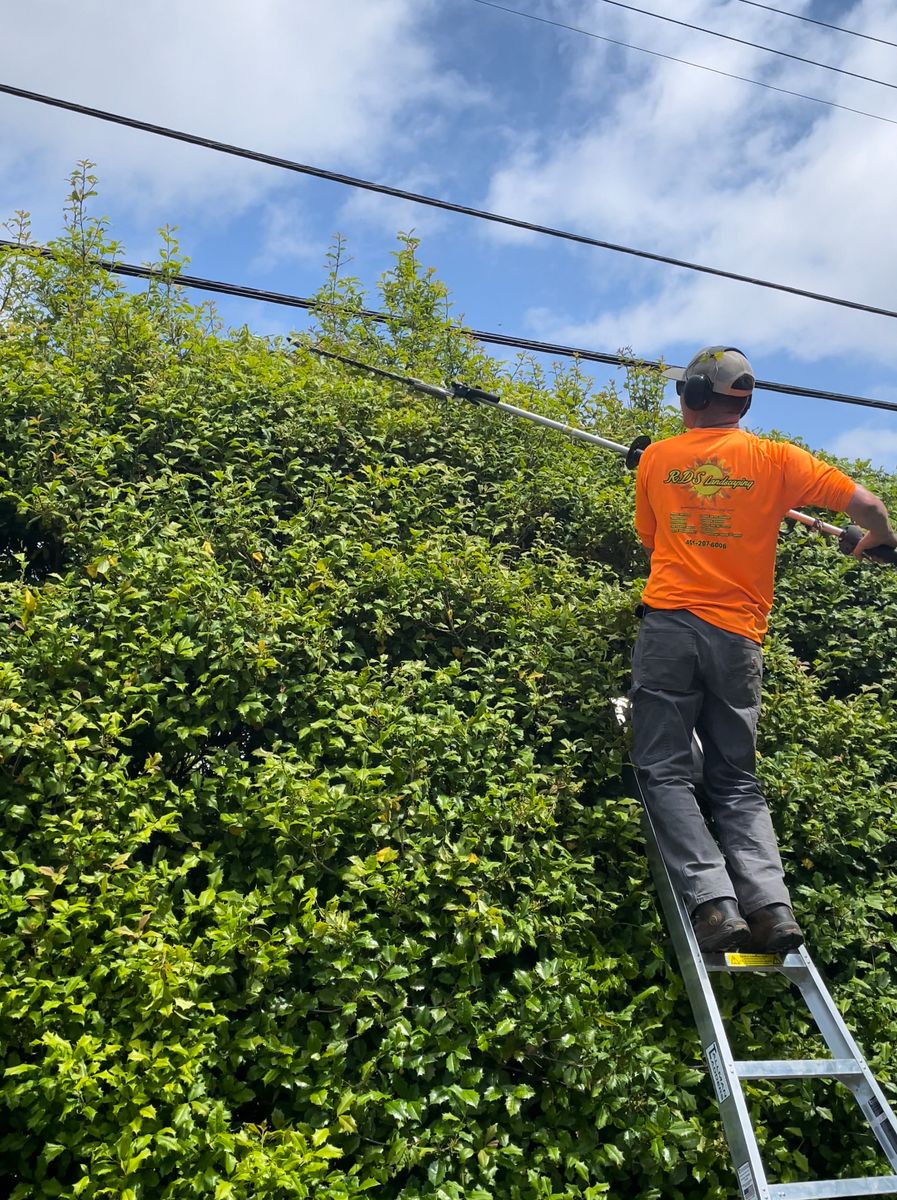 Shrub Trimming for RI Outdoor Living  in Charlestown, Rhode Island
