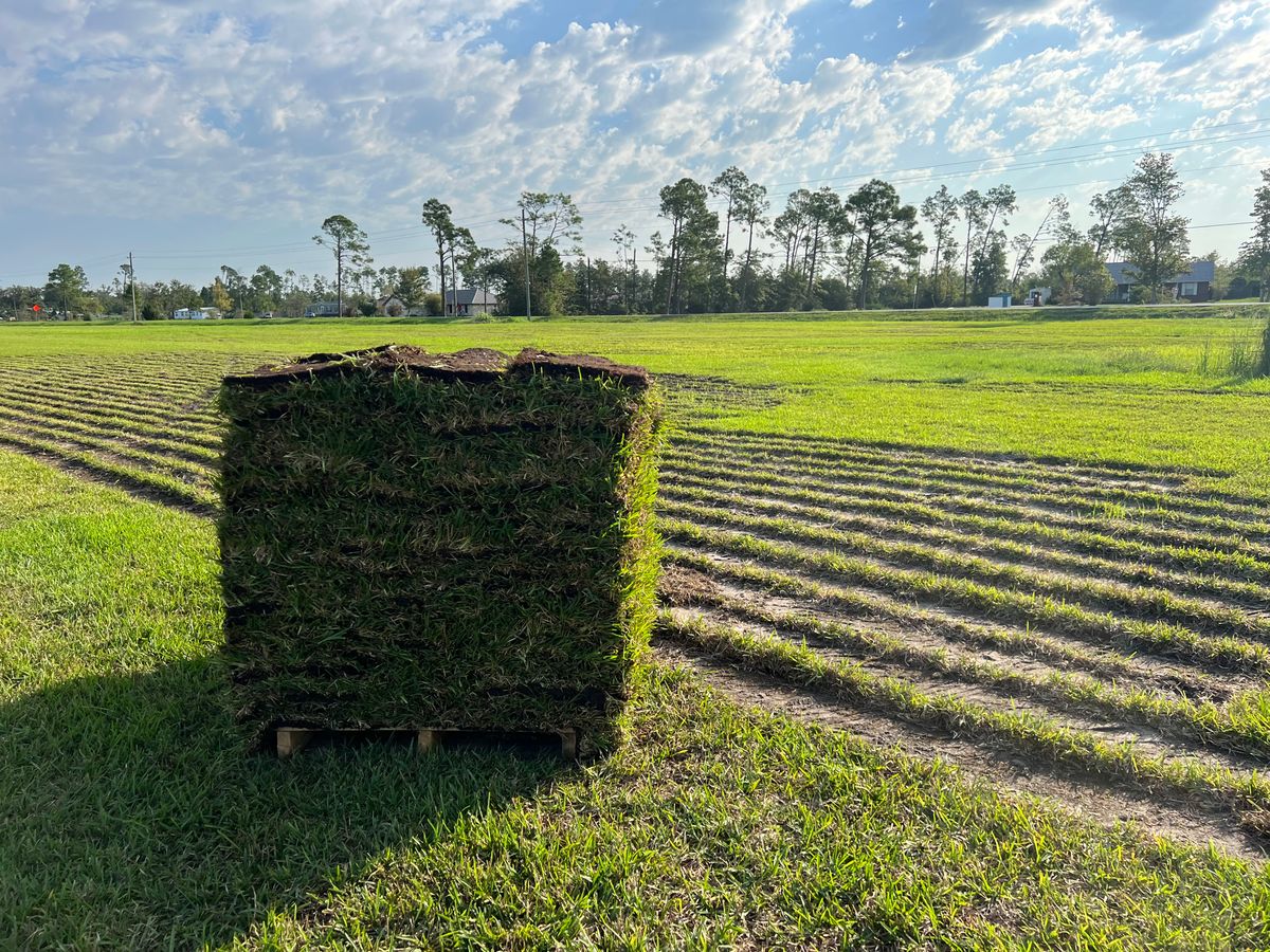 Sod installation for Everything for the Home Inc. in Destin, FL
