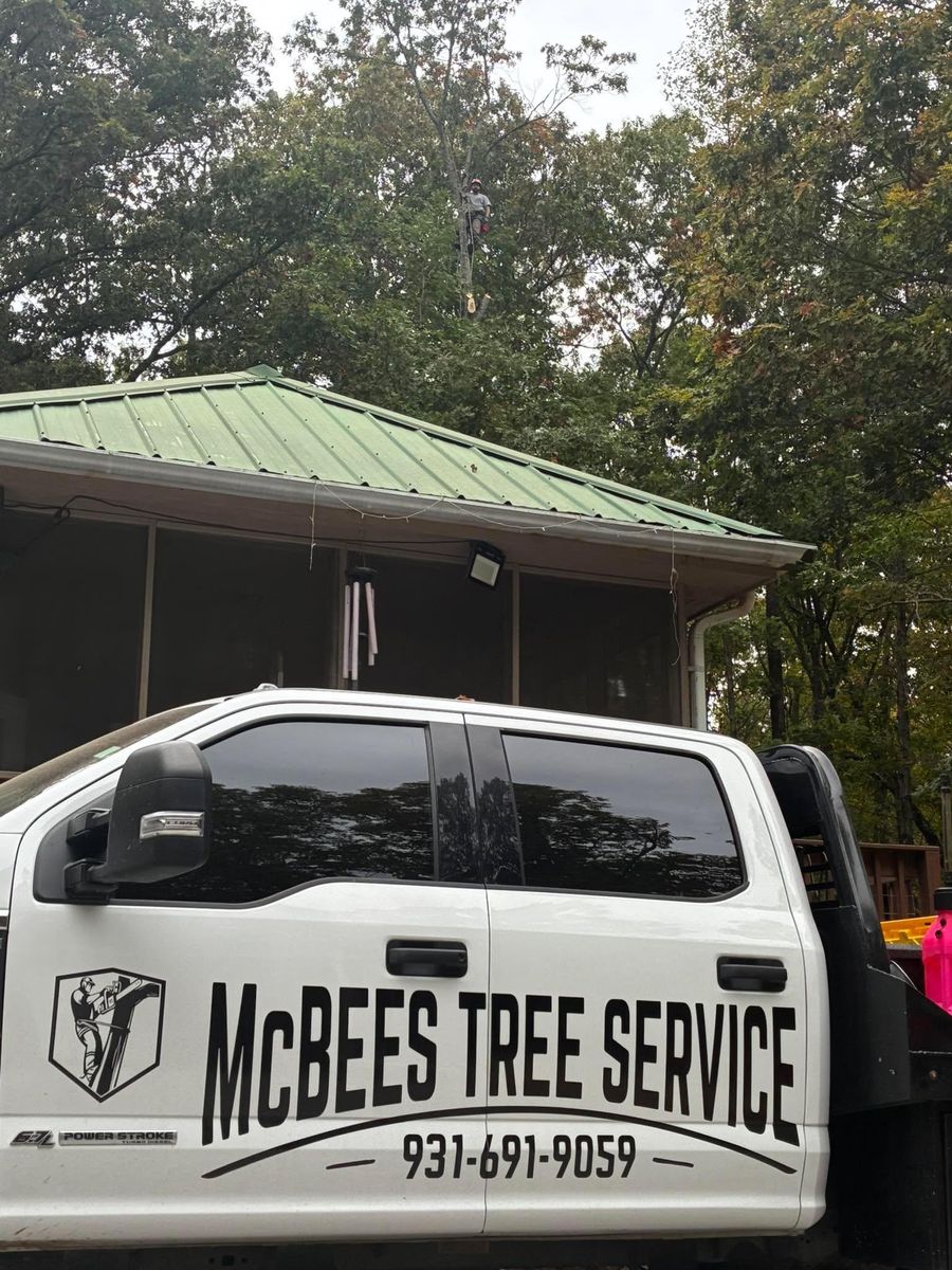 Stump Removal for McBee’s Tree Service in Sewanee, TN