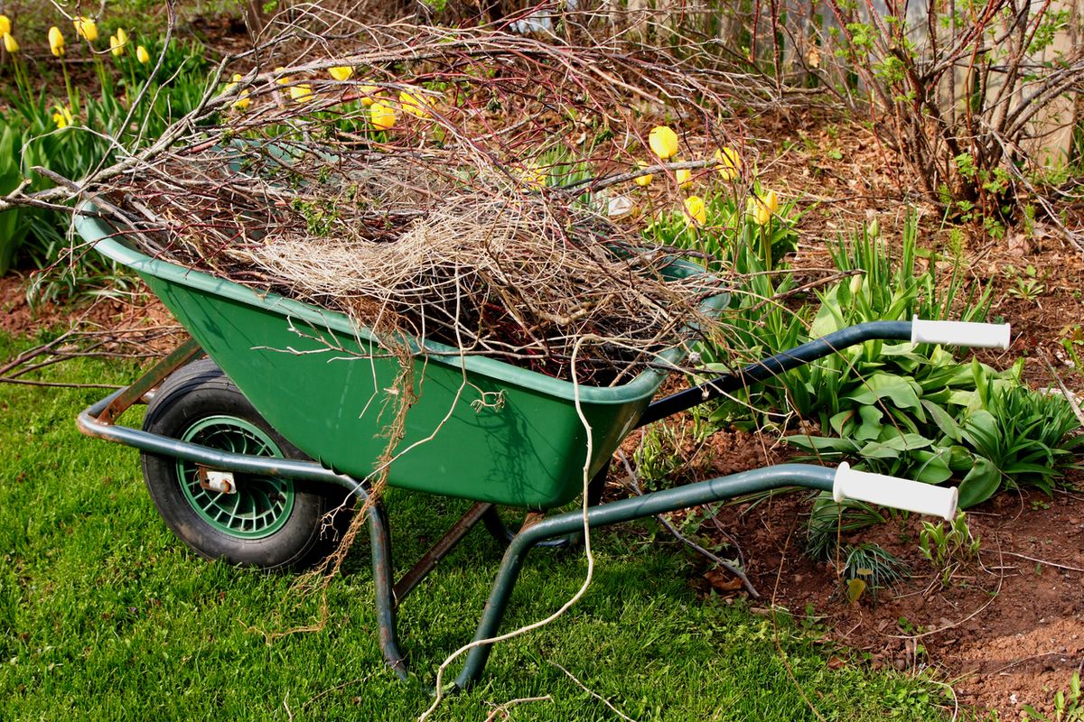 Spring Clean-Up Services for New Beginning Landscape & Remodel LLC in Atlanta, GA