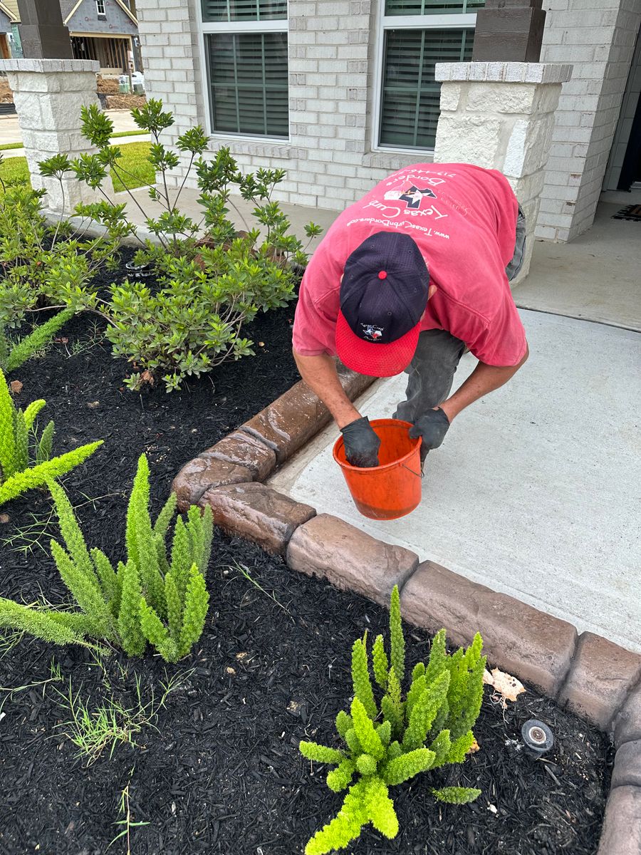 Landscaping for Texas Curb N Borders in Houston, TX