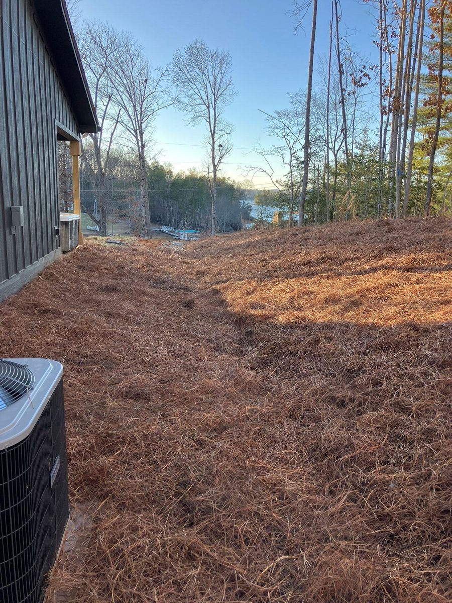 Land Clearing for Gibson Grade Works in Towns County, GA