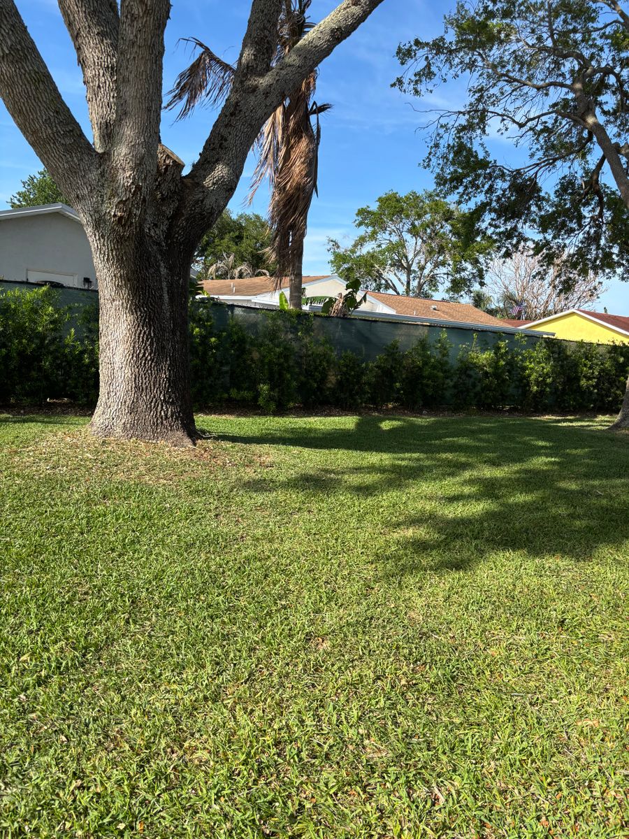 Lawn Maintenance for Space Coast Property Maintenance and Management LLC in Melbourne, FL