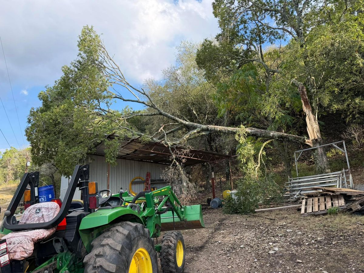 24 hour emergency services for Z’s Trees LLC in Grey Forest, TX