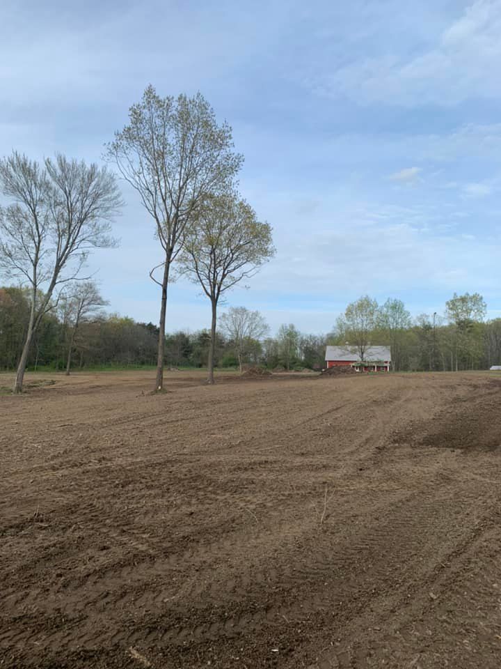 Land Clearing for Penn Top Property Services in Lake Meade, PA