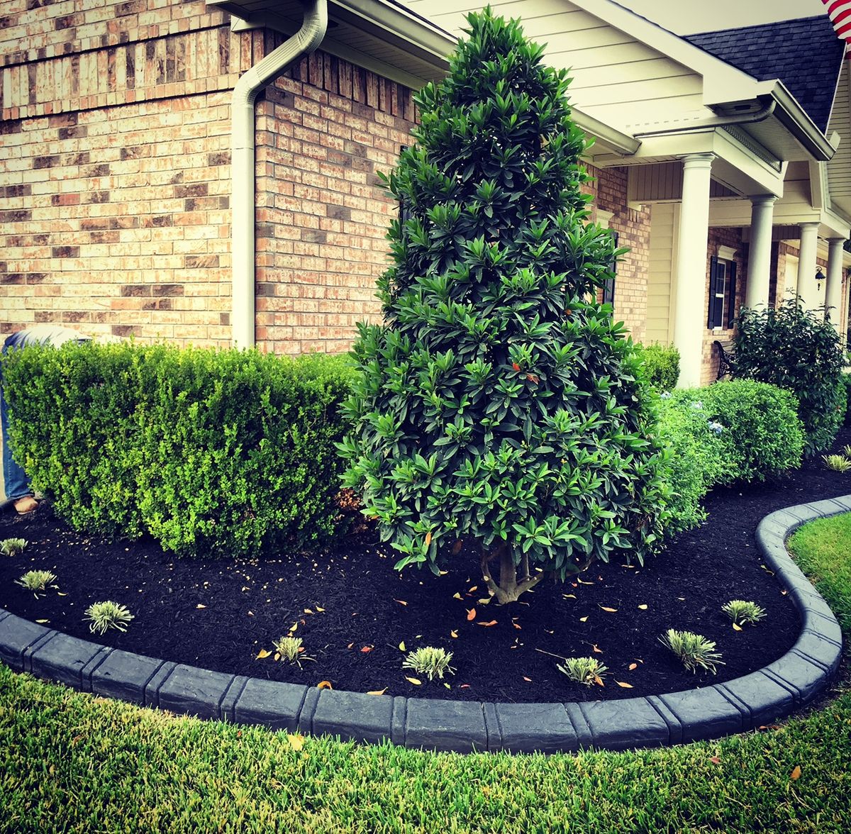 Landscaping for Texas Curb N Borders in Houston, TX