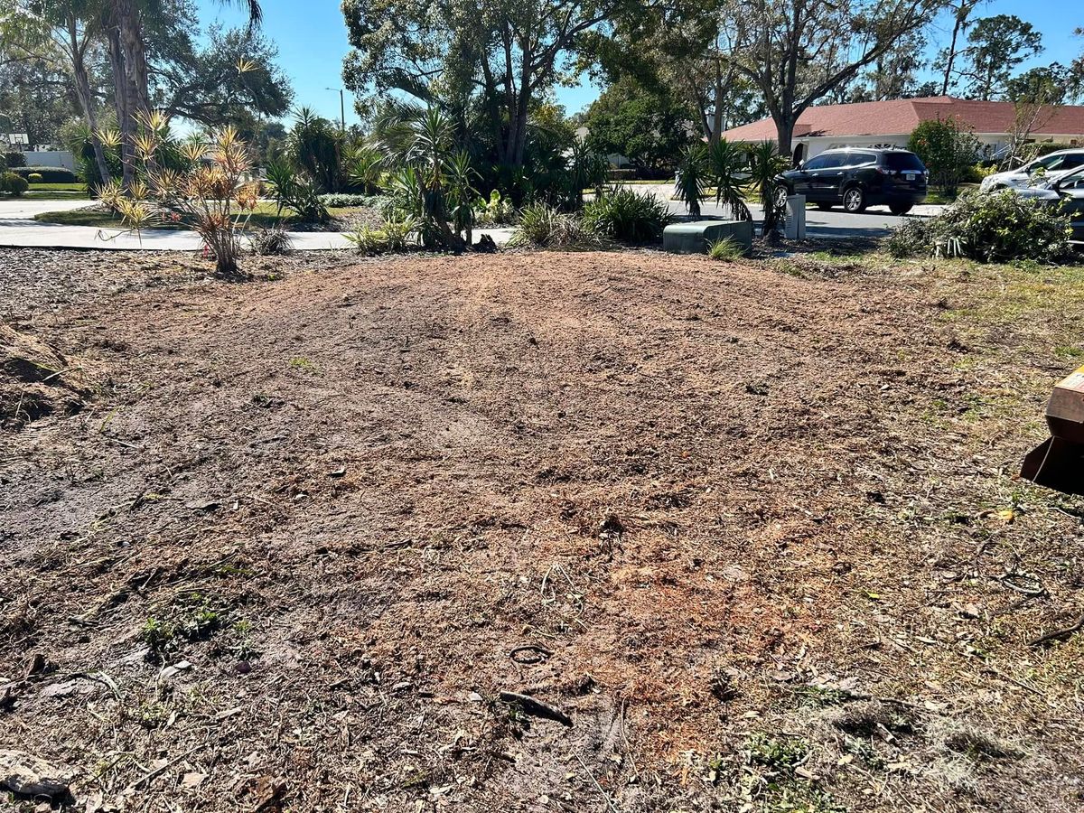 Stump Removal for Greene Acres Stump Grinding in Plant City, FL