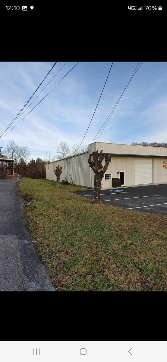 Tree Trimming for M&L Lumber and Excavating in Jonesborough, TN