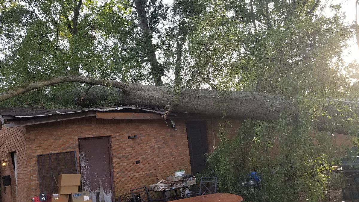 Emergency Storm Services for Action Tree & Debris Removal in Jackson,  MS