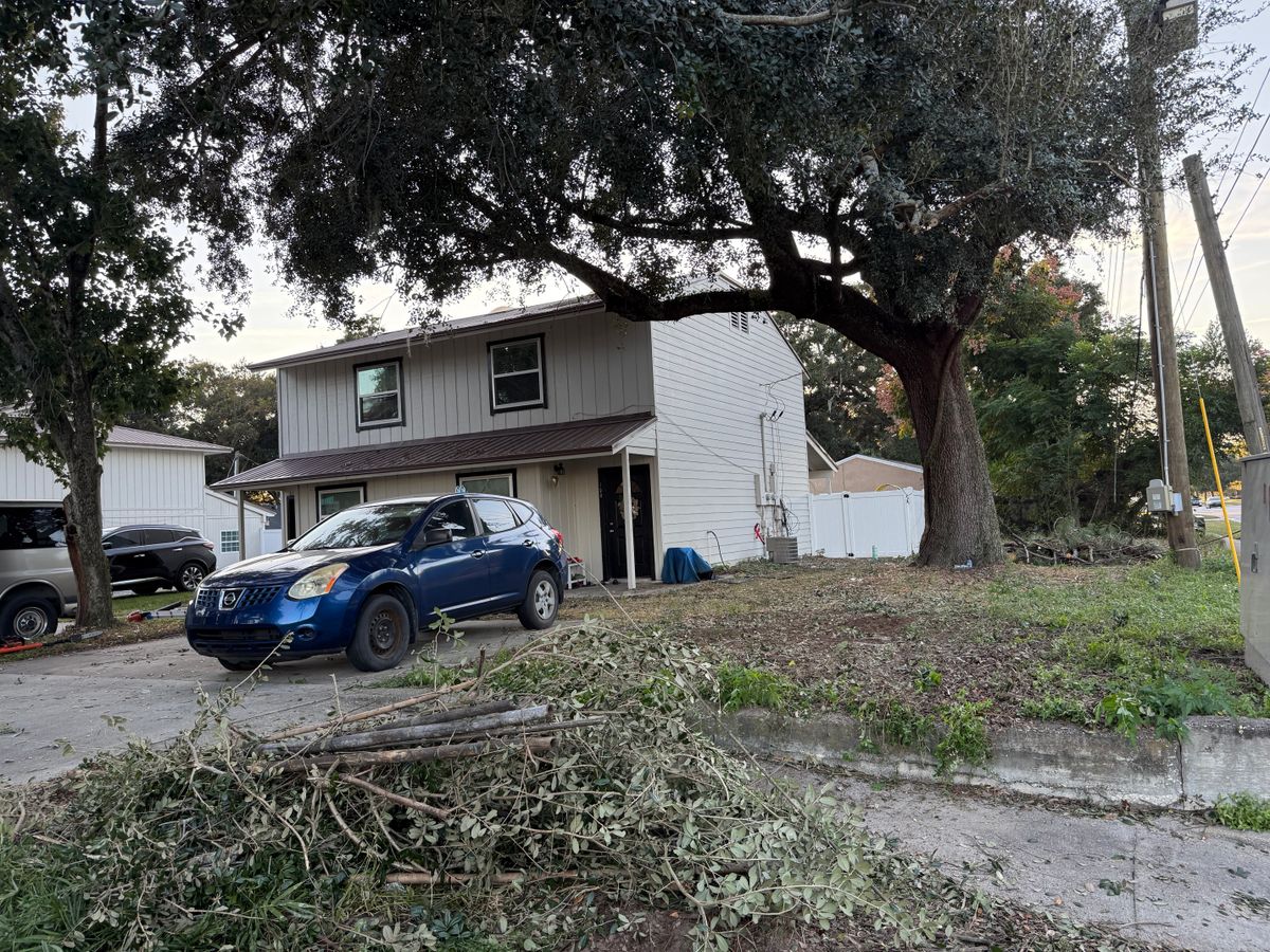 Land Clearing for Amerigrown Tree And Lawn in Apopka, FL