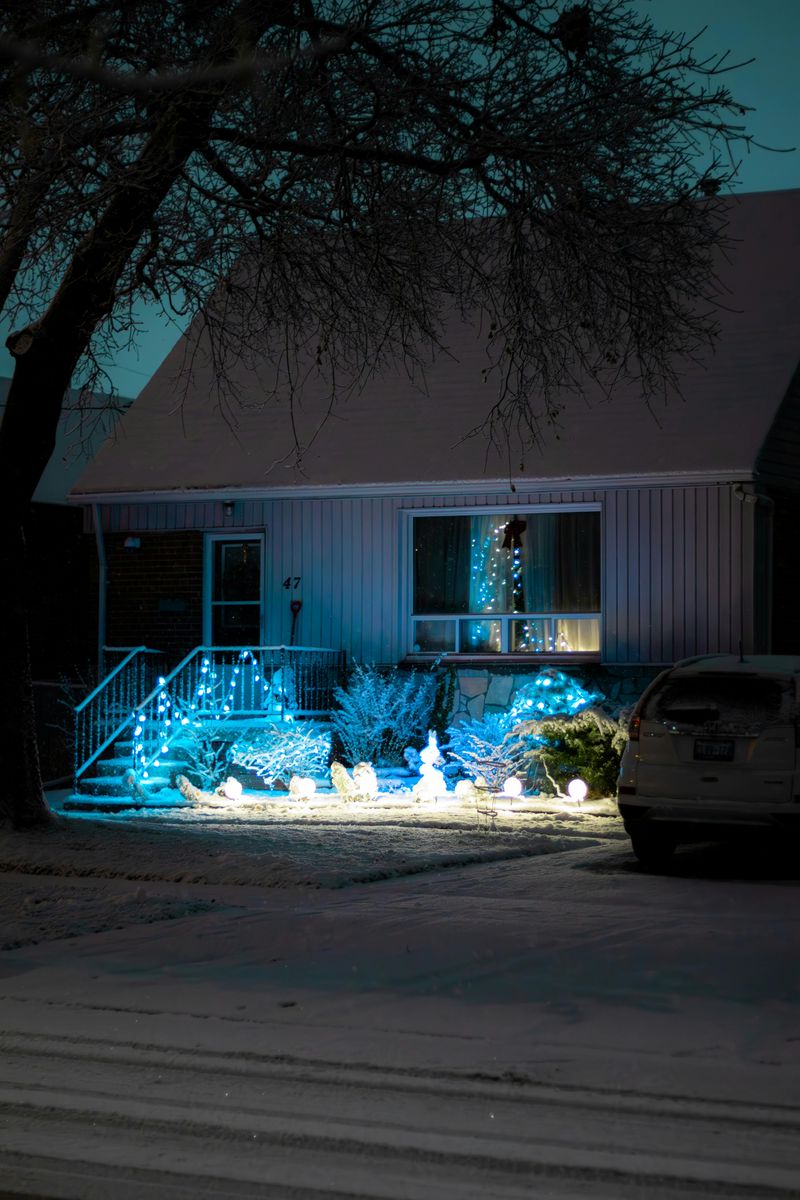 Christmas Lights for Wilson's Yard Work, LLC in Tyler, TX