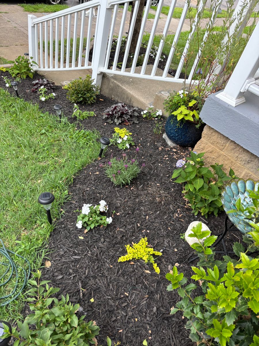 Yard Work & Planters for B5’s Painting & General Services in Louisville, KY