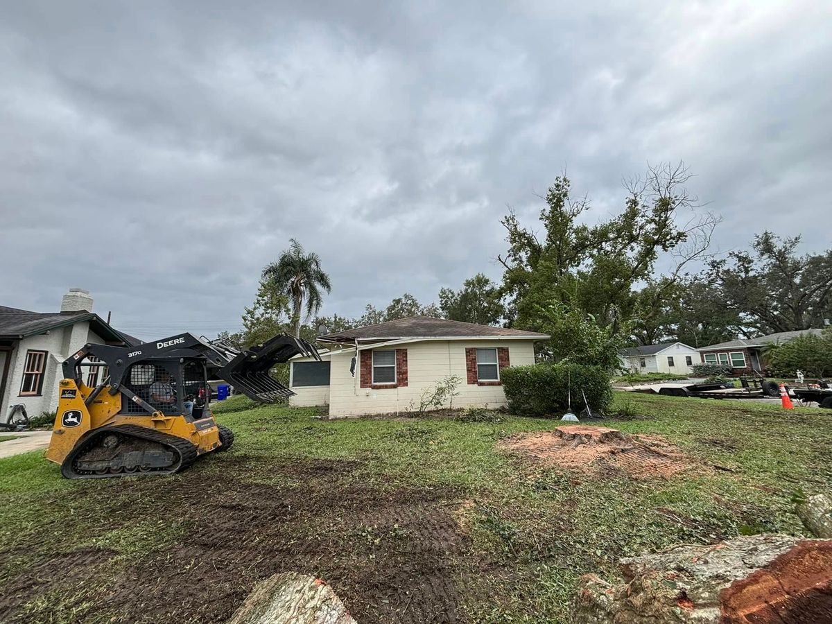 Tree Trimming / Removal for Parker Land Services in Lakeland, FL