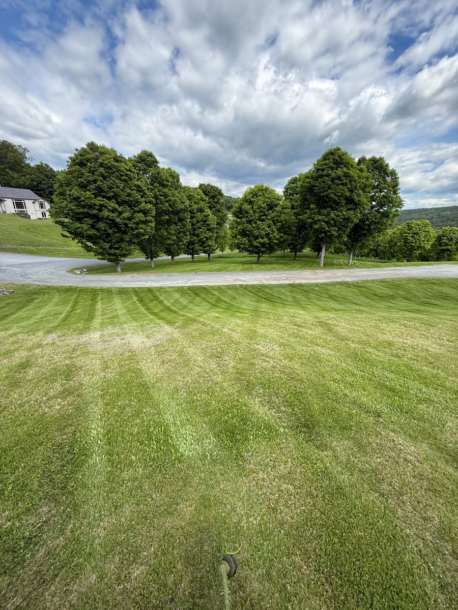 Lawn Maintenance for Thomas Clifford Property Services LLC in Enfield, NH