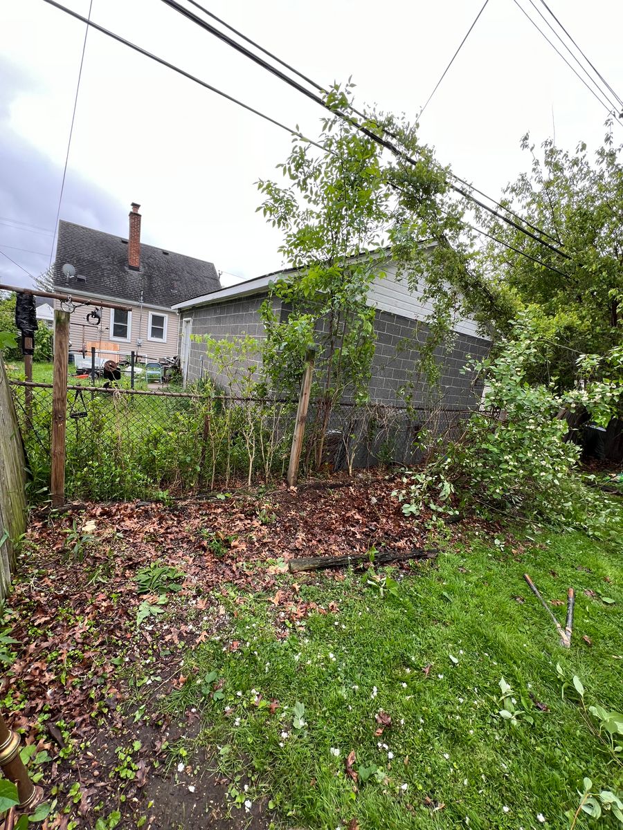 Land clearing for Alltimate Outdoor Services in Warren, MI