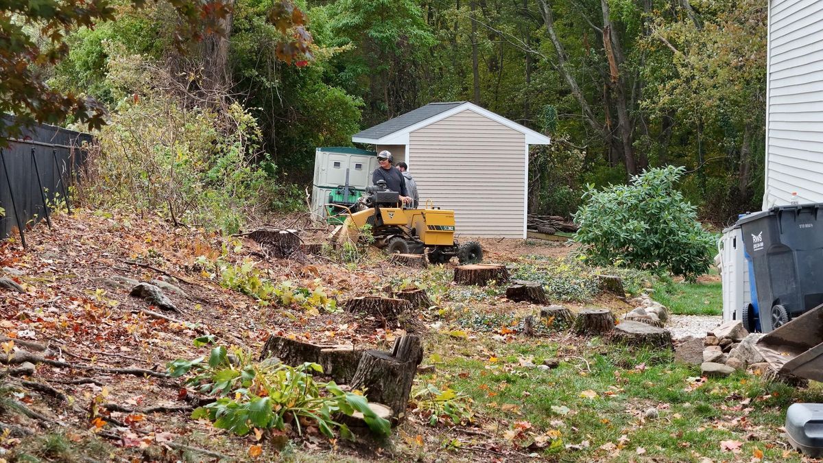 Landscape Maintenance for Ace Landscaping in Trumbull, CT