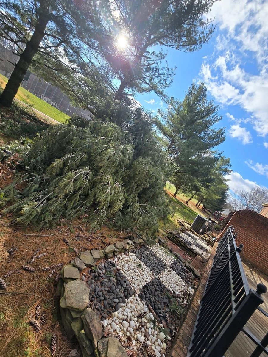 Property clean up for M&L Lumber and Excavating in Jonesborough, TN