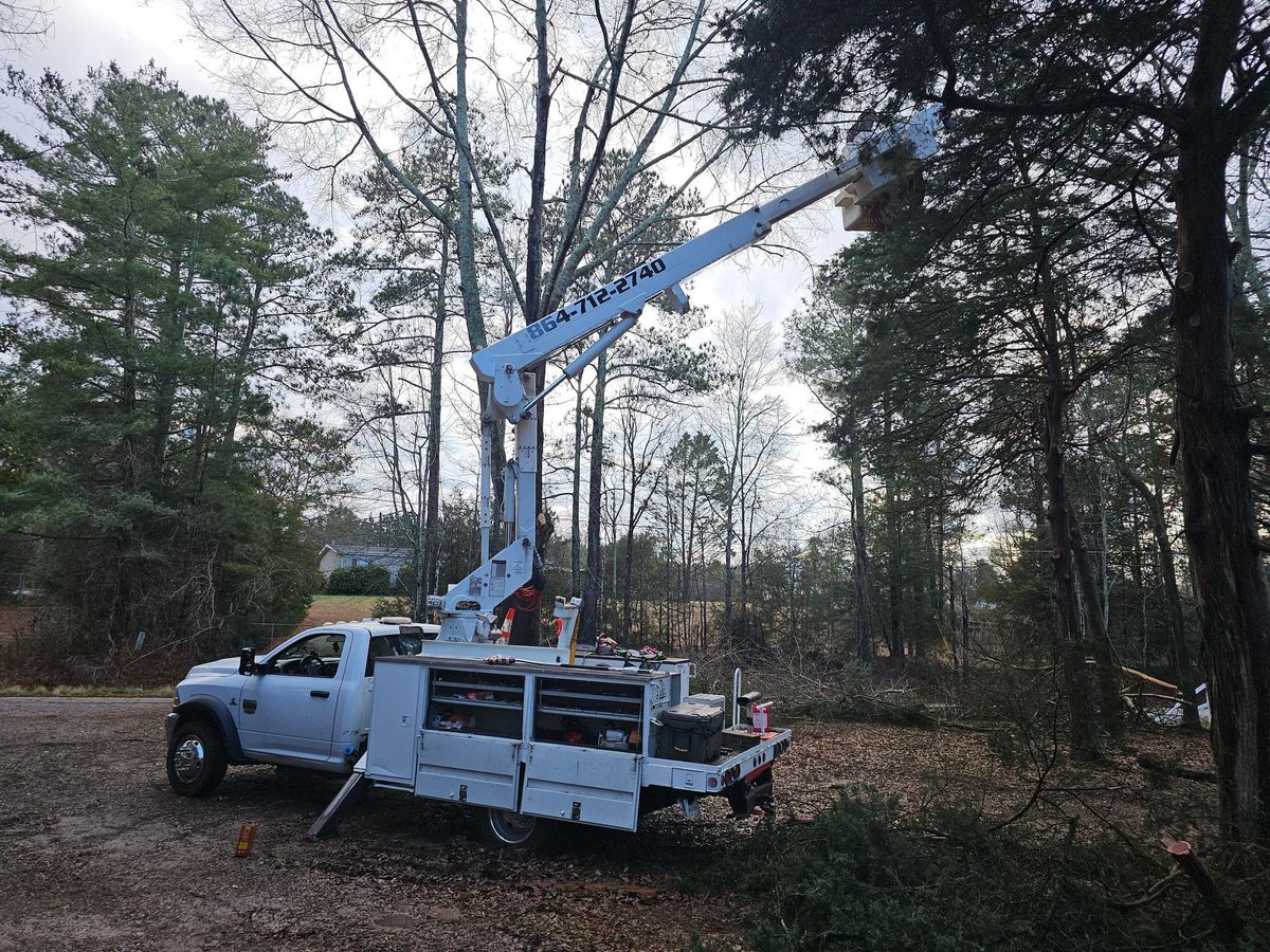 Tree Trimming for O'Connor Clearing and Hauling LLC in Anderson County, SC