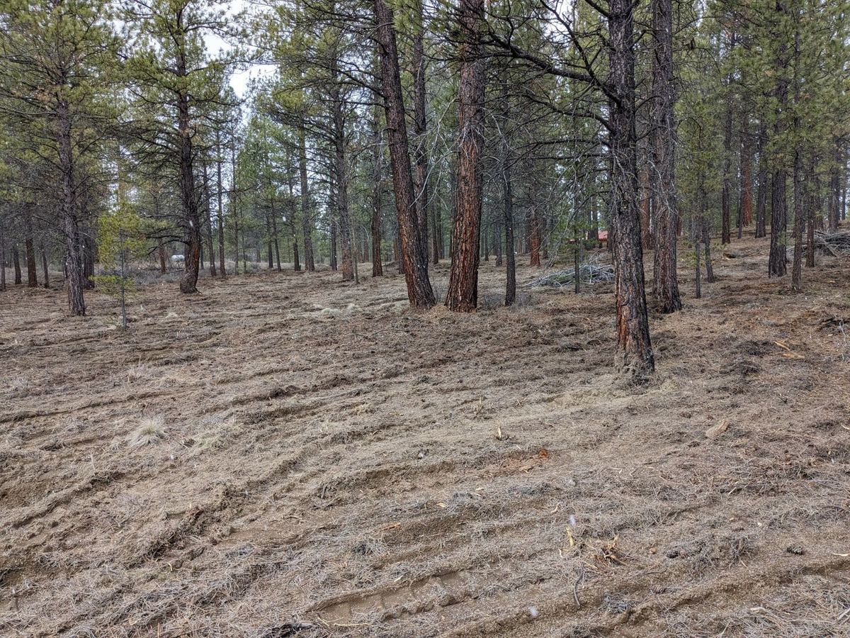 Fall Clean Up for Bailey's Cutting LLC in Bend, Oregon