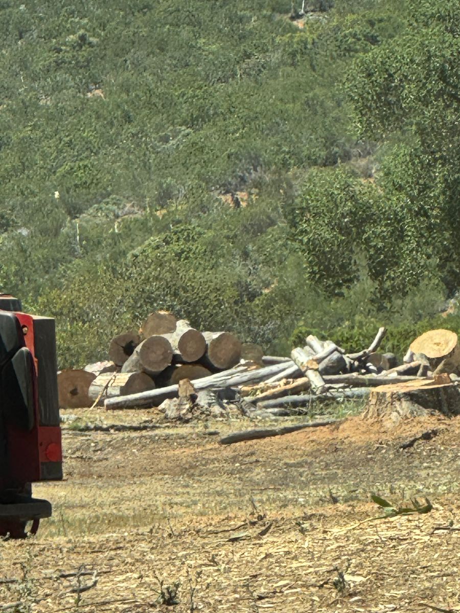 Tree Services for The Tree Fairy in Julian, CA