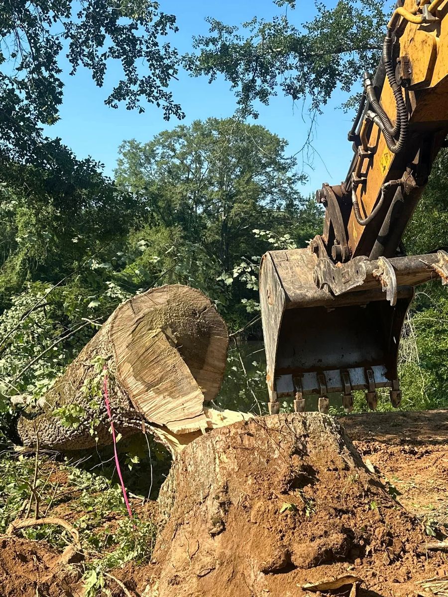 Tree Trimming & Removal for A.P Land Management in Atlanta, Ga