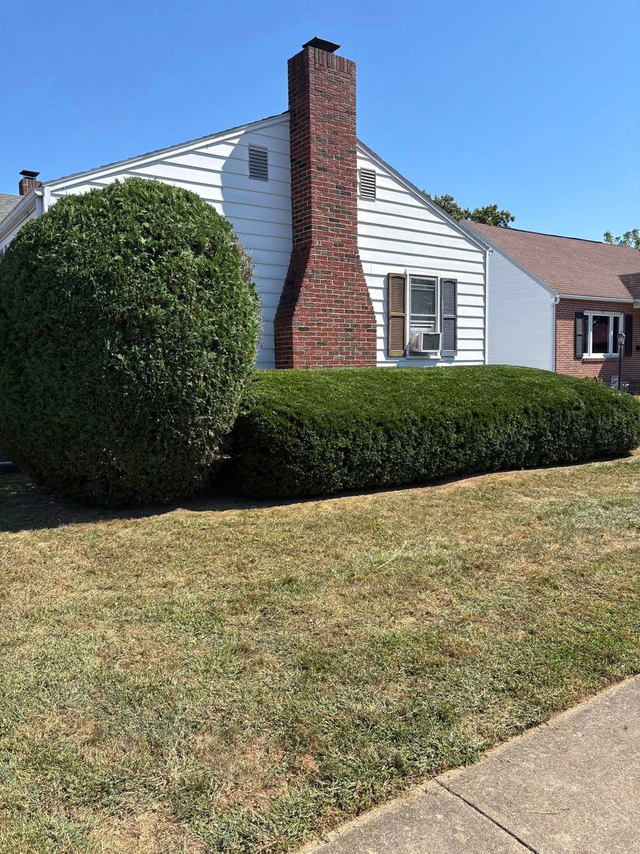 Tree & Shrub Care for Backyard Acres Lawncare LLC in Chambersburg, PA