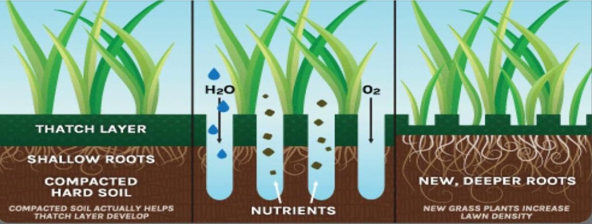 Garden Installation for B&L Management LLC in East Windsor, CT