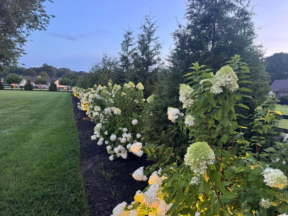 Low Voltage Lighting for Broker Post Ground Crew in Sussex County, DE